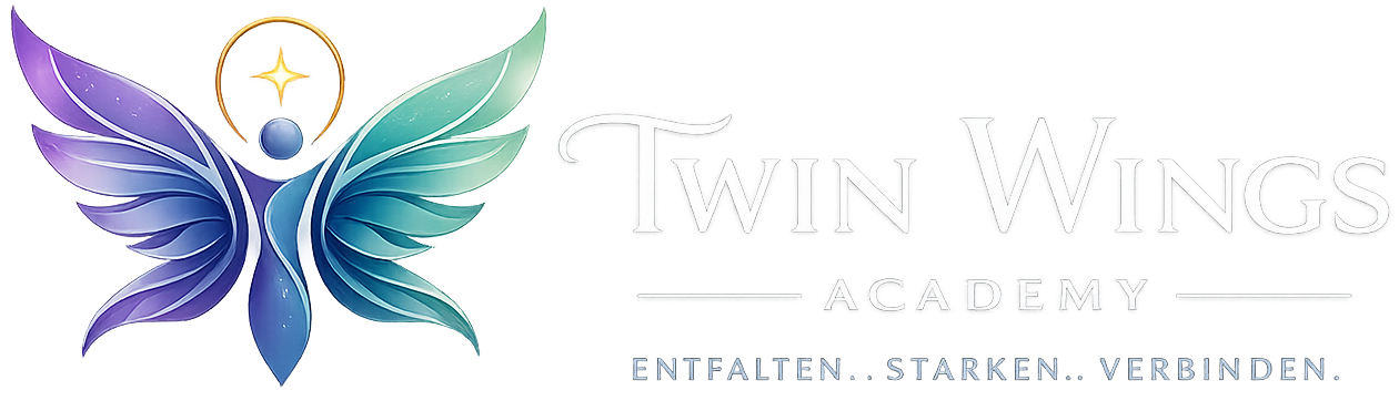 twin-wings-academy